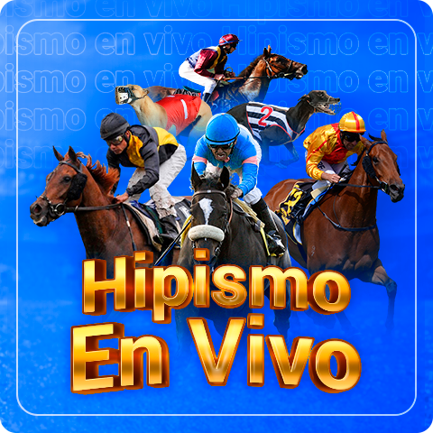 Hipismo en vivo en ZonaF